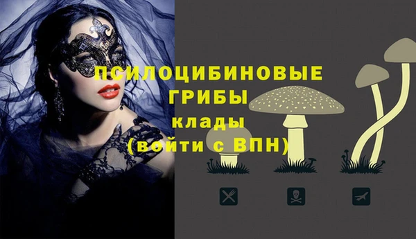 соль курить ск Алексин