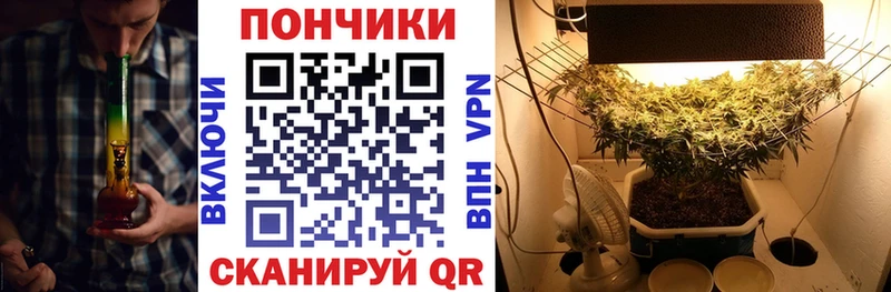 ссылка на мегу   Морозовск  Шишки марихуана семена 